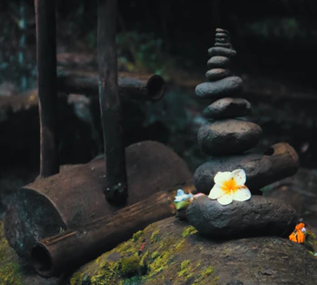 Luxury-Ayurveda-Brands