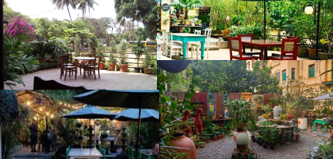 The Rogue Elephant | List of best Café/Restaurant to Visit this Valentine's day
