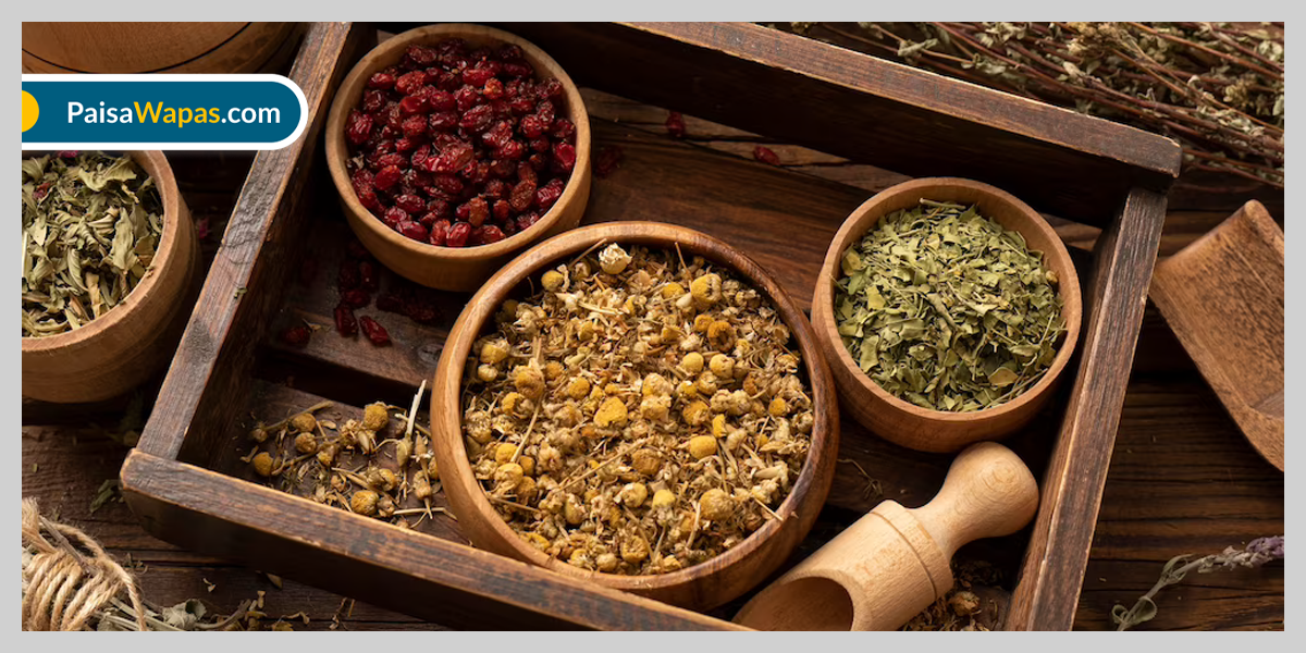 medicinal plant tulsi uses