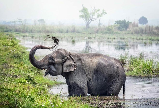 Chitwan National Park