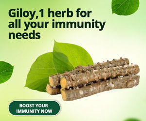 Health benefits of giloy