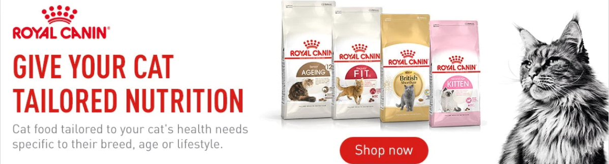 Royal Canin | Best Cat Food Brands in India