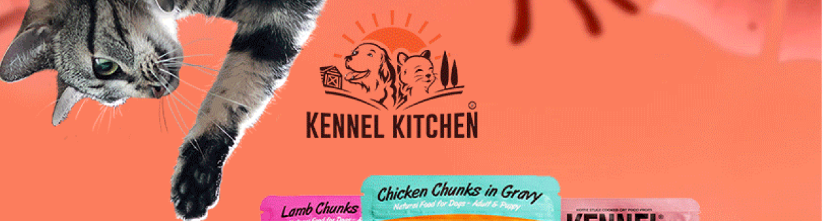 Kennel Kitchen | Top 6 Best Cat Food Brands in India