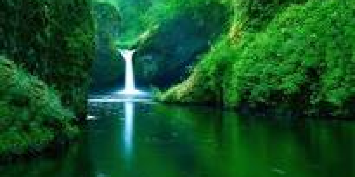 best water falls in india