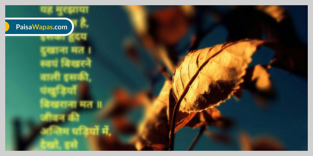 Top 10 Patriotic Songs in Hindi 2023