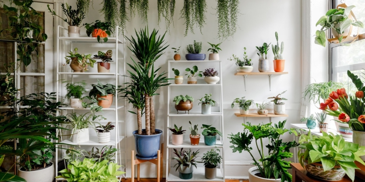 Home Gardening