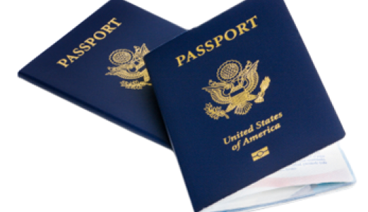 blue passport India