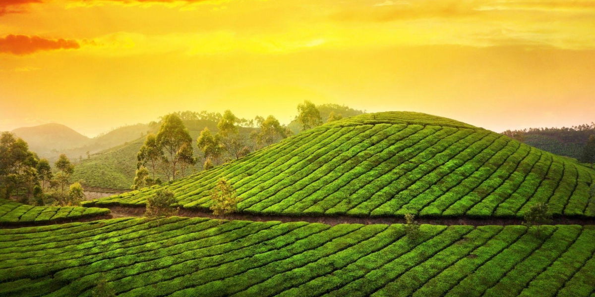 Best places to visit in India