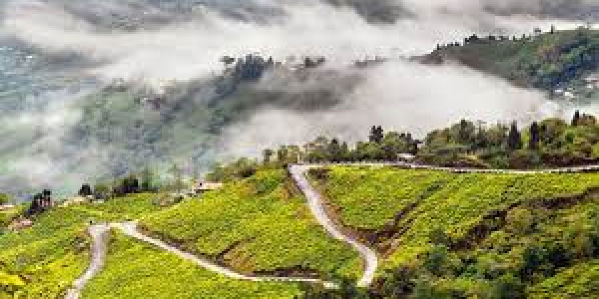 Best places to visit in India