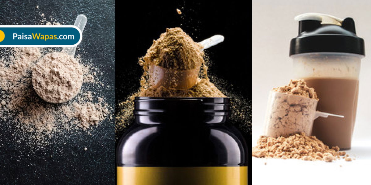 Protein Powder Brands