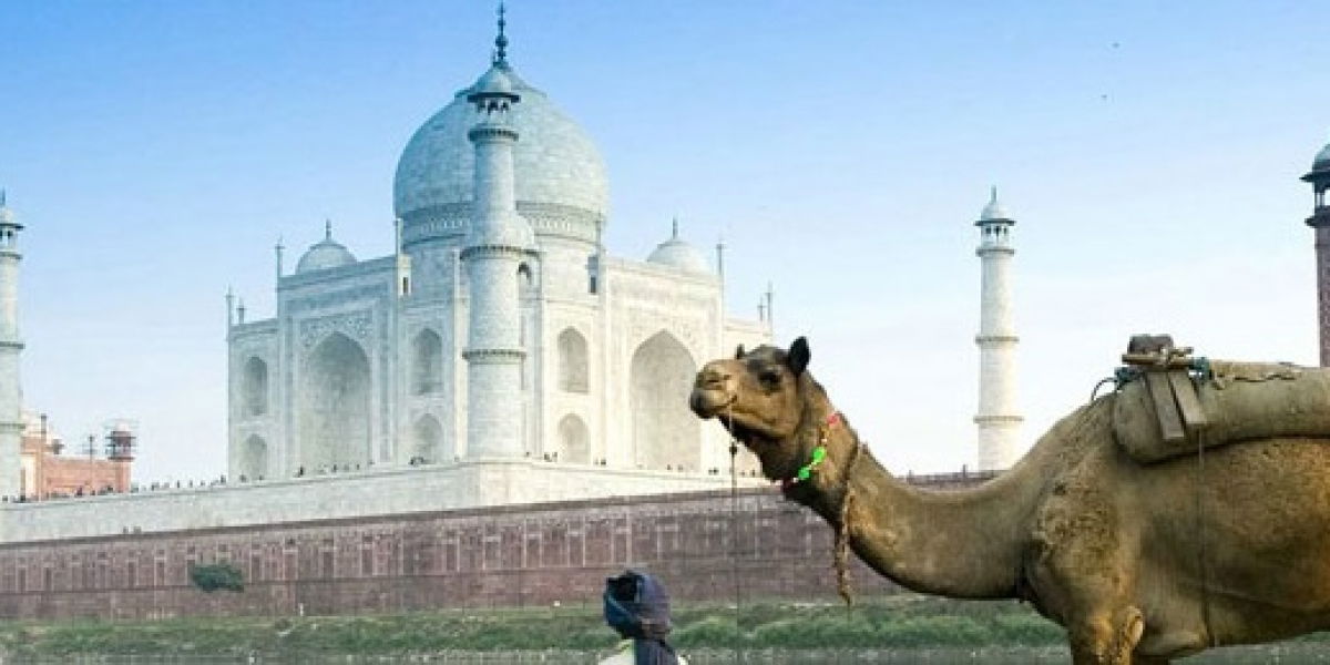 best places to visit near New Delhi