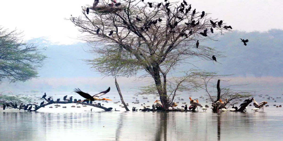 best places to visit near New Delhi