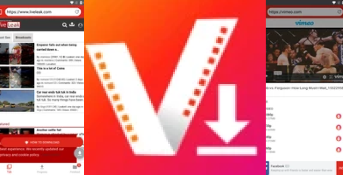Video Downloader