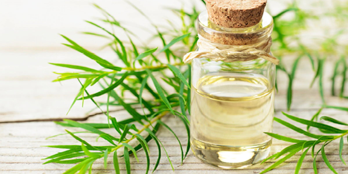 health benefits of tea tree oil