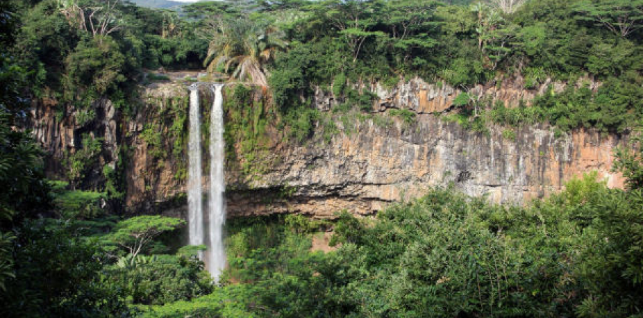 Black River Gorges National Park - Mauritius 