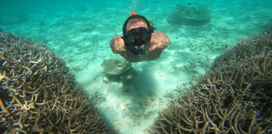 Blue Bay Marine Park snorkeling