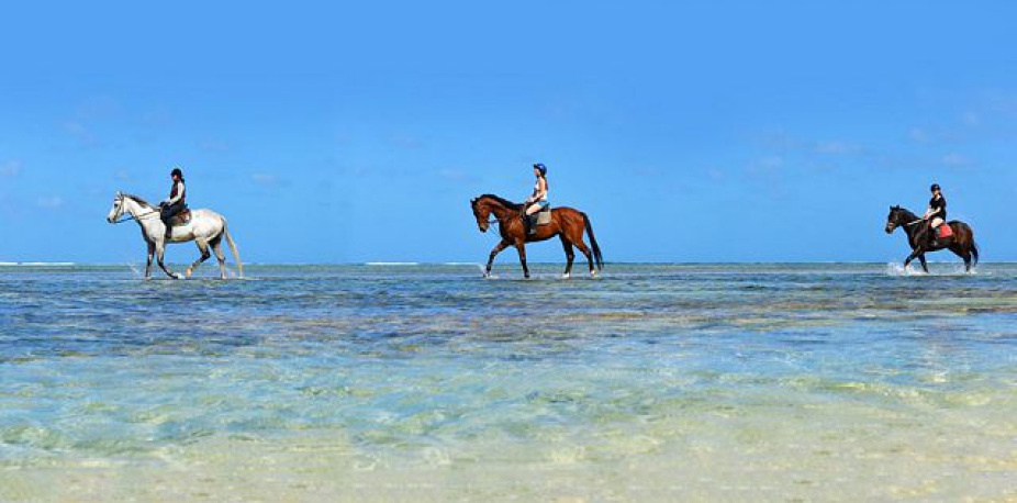 Riambel Beach Horseback Riding
