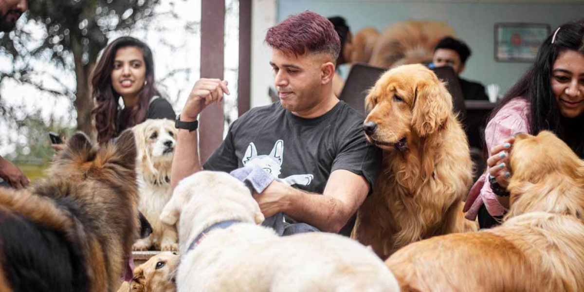 Pet Cafes in India