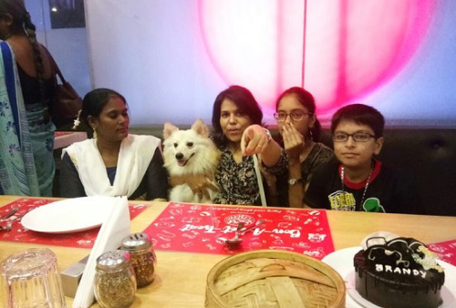 The Love Room, Kolkata