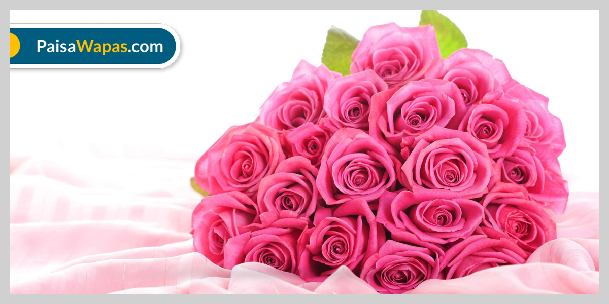 10 Best Rose Day Songs in Hindi For 2023