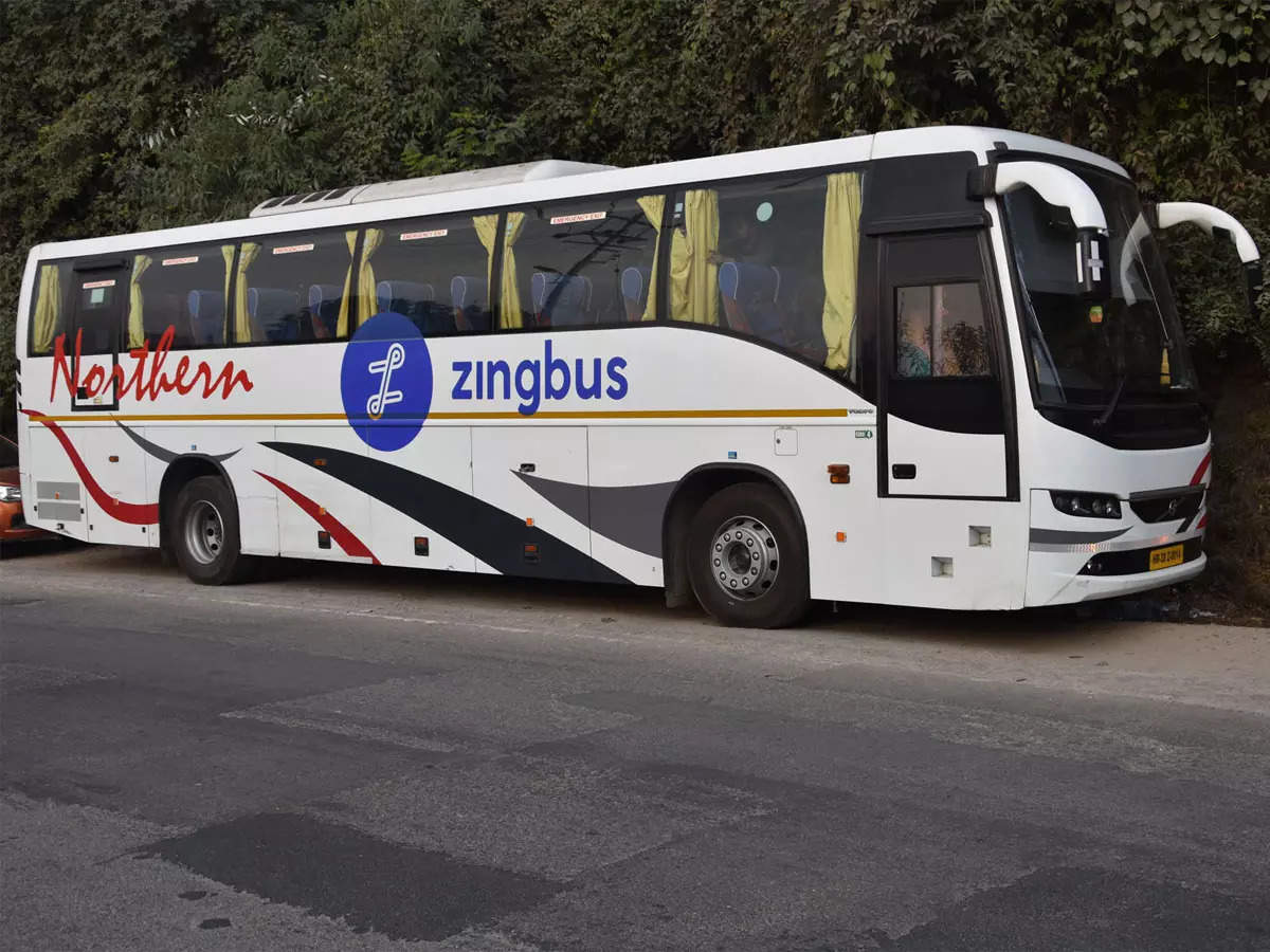 zingbus bus booking