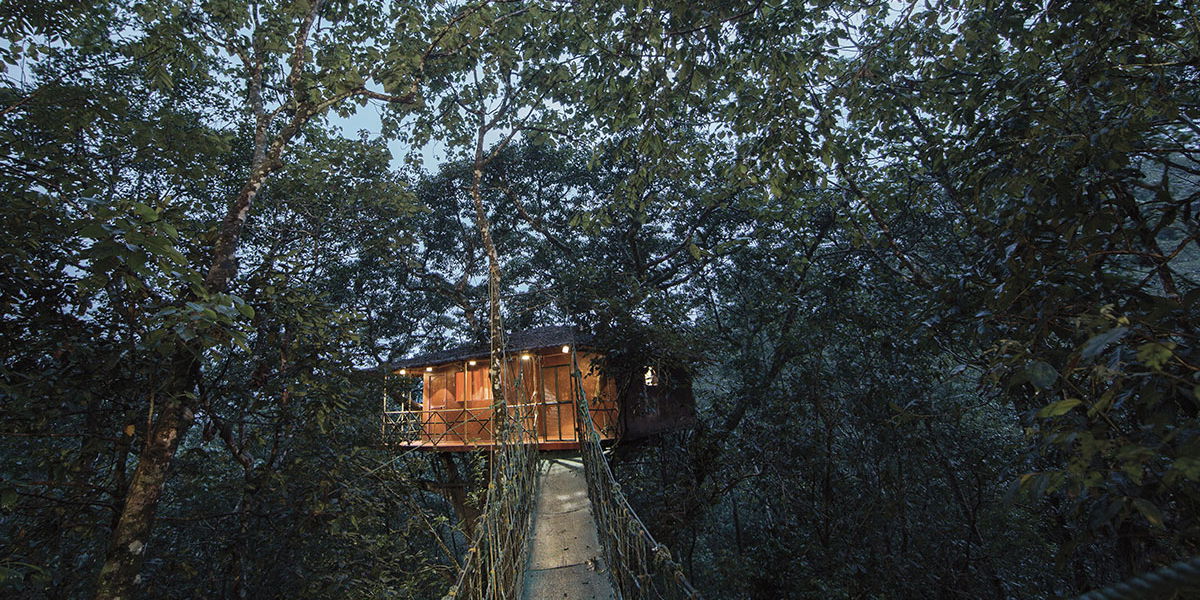 luxury resorts in Wayanad