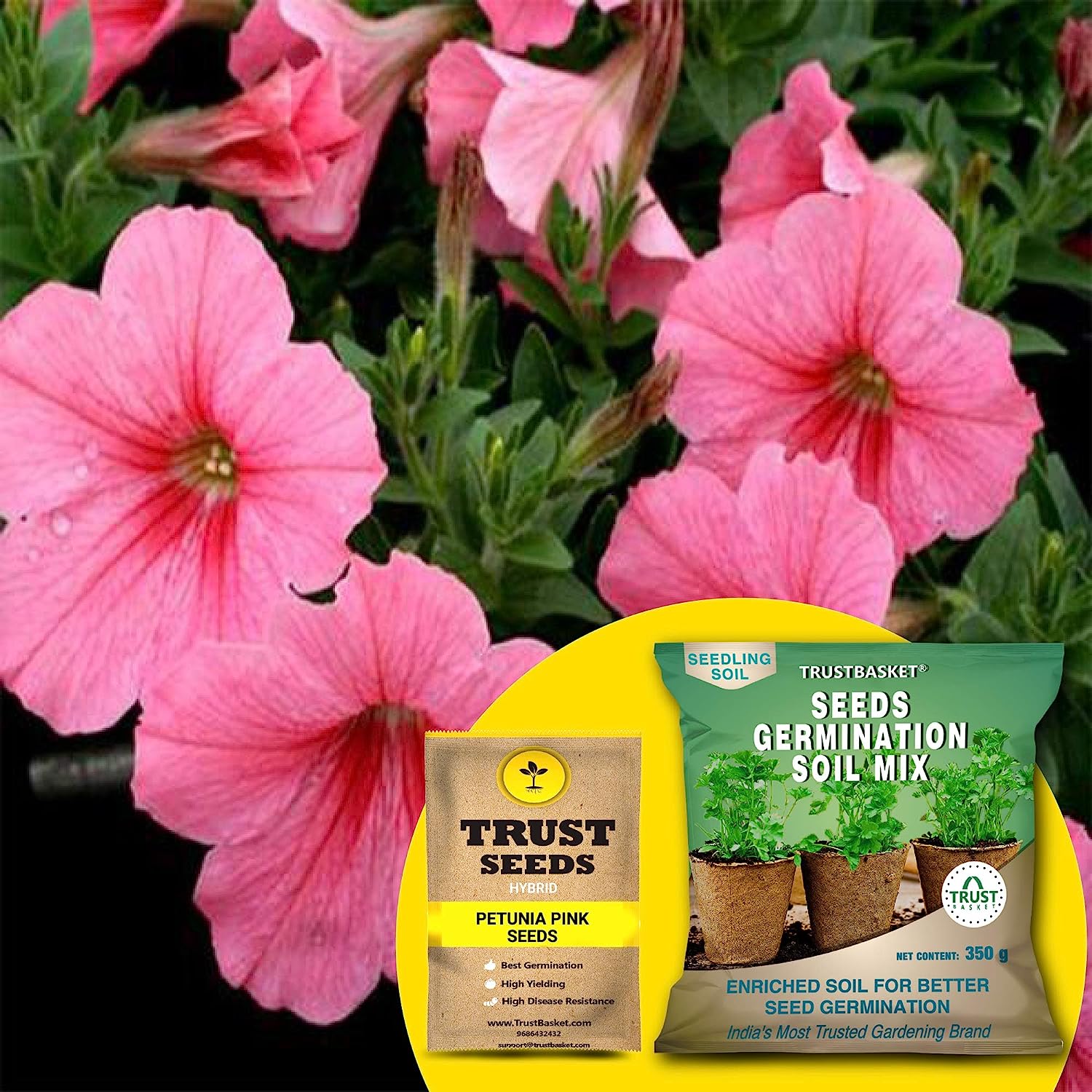 flowers in the garden