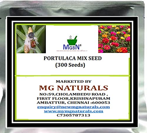 flower plants for summer