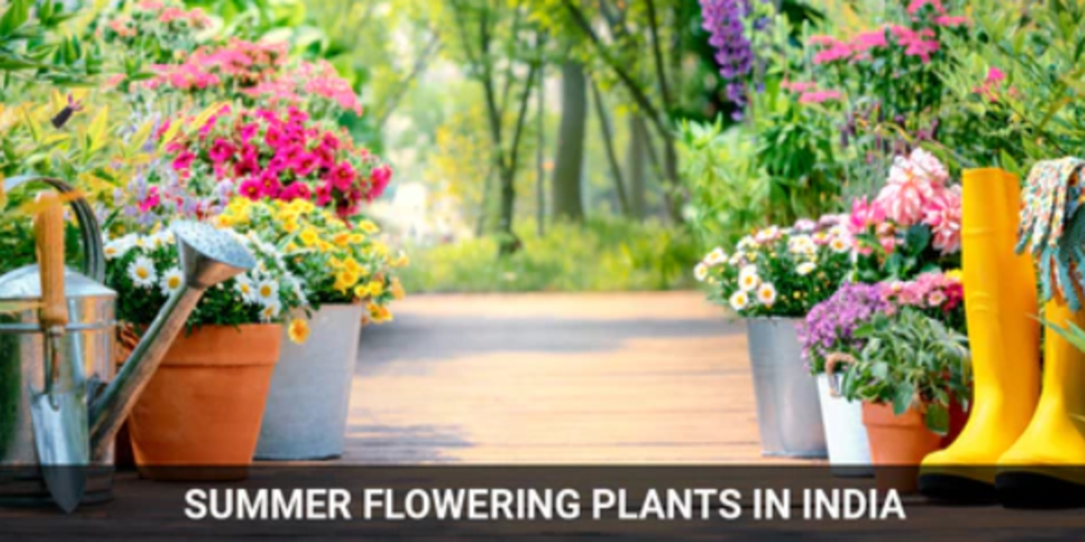 Best Summer Flowers Of India