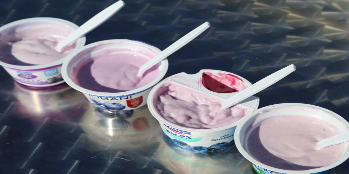 best greek yogurt in india
