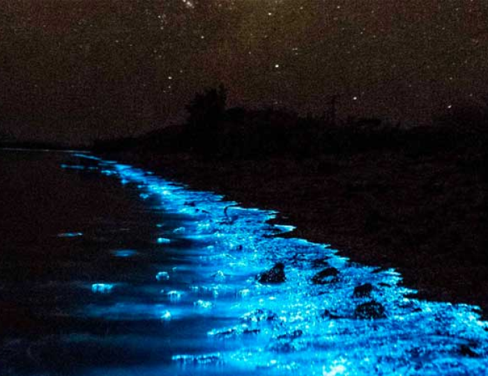 Best Beaches in Udupi | mattu beach udupi