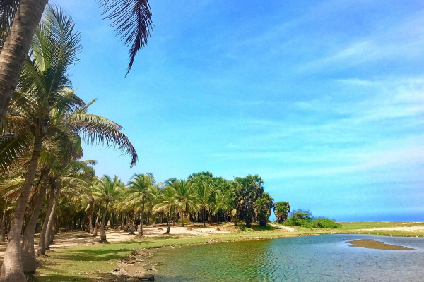The Plage Paradiso pondicherry | Best Beaches in Pondicherry