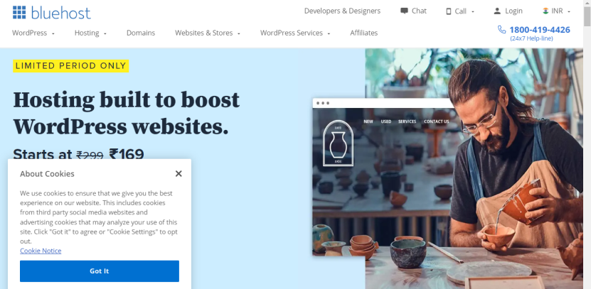 Bluehost Web Hosting Provider