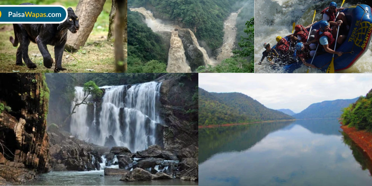 Best places to visit in Dandeli