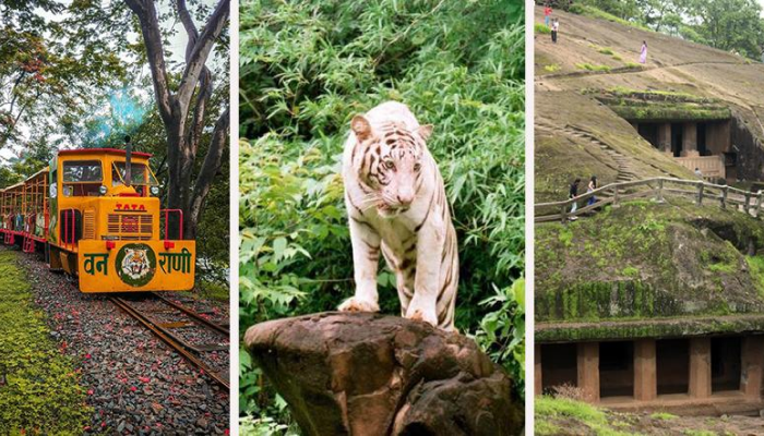 Best Places to Visit in Mumbai | sanjay gandhi national park mumbai