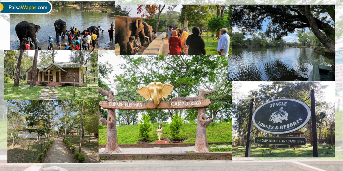 Dubare Elephant Camp