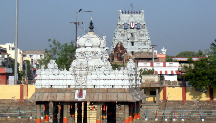 Best Places to visit in Chennai | Sri Parthasarathy Temple