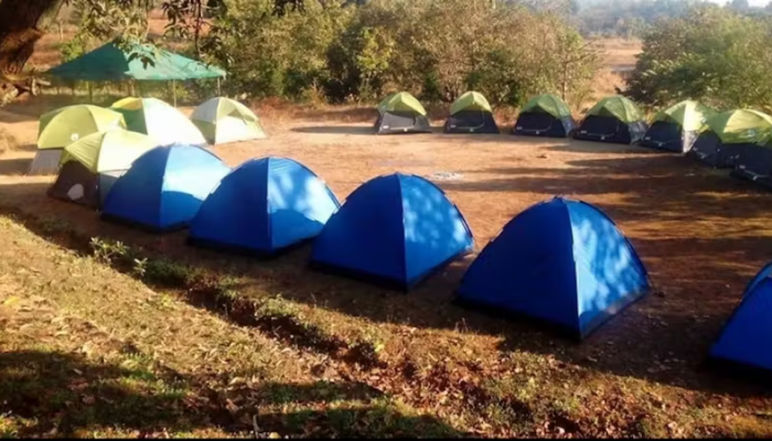 jungle trailz TENT ACCOMMODATION