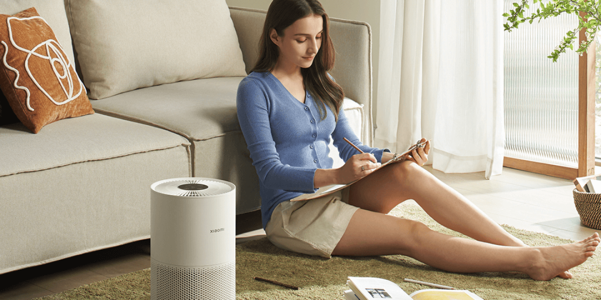 Best Air Purifiers for Home in India