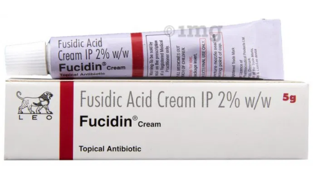 Gladic Fusidic Cream - 6 Best Fungal Infection Creams to Use