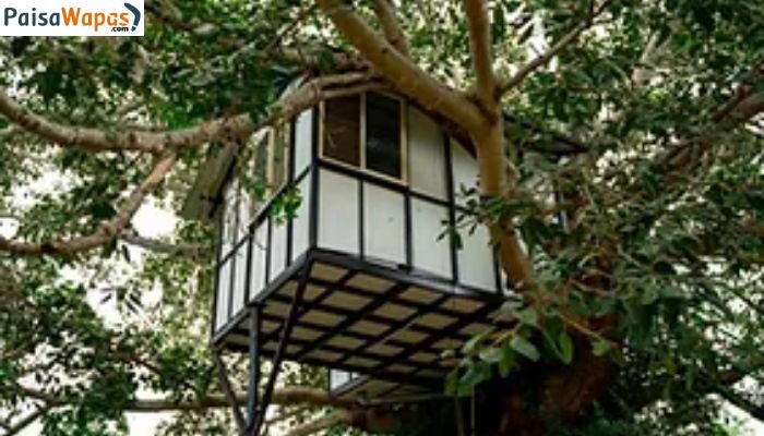 Wild Valley Adventure Retreat Resort tree house