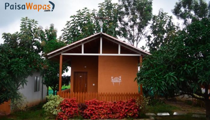 suggee-resort-delux-room