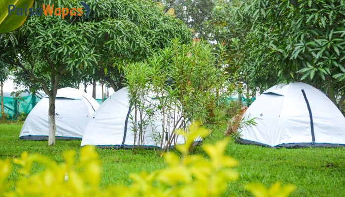 suggee resort 4 sharing malgoba rooms