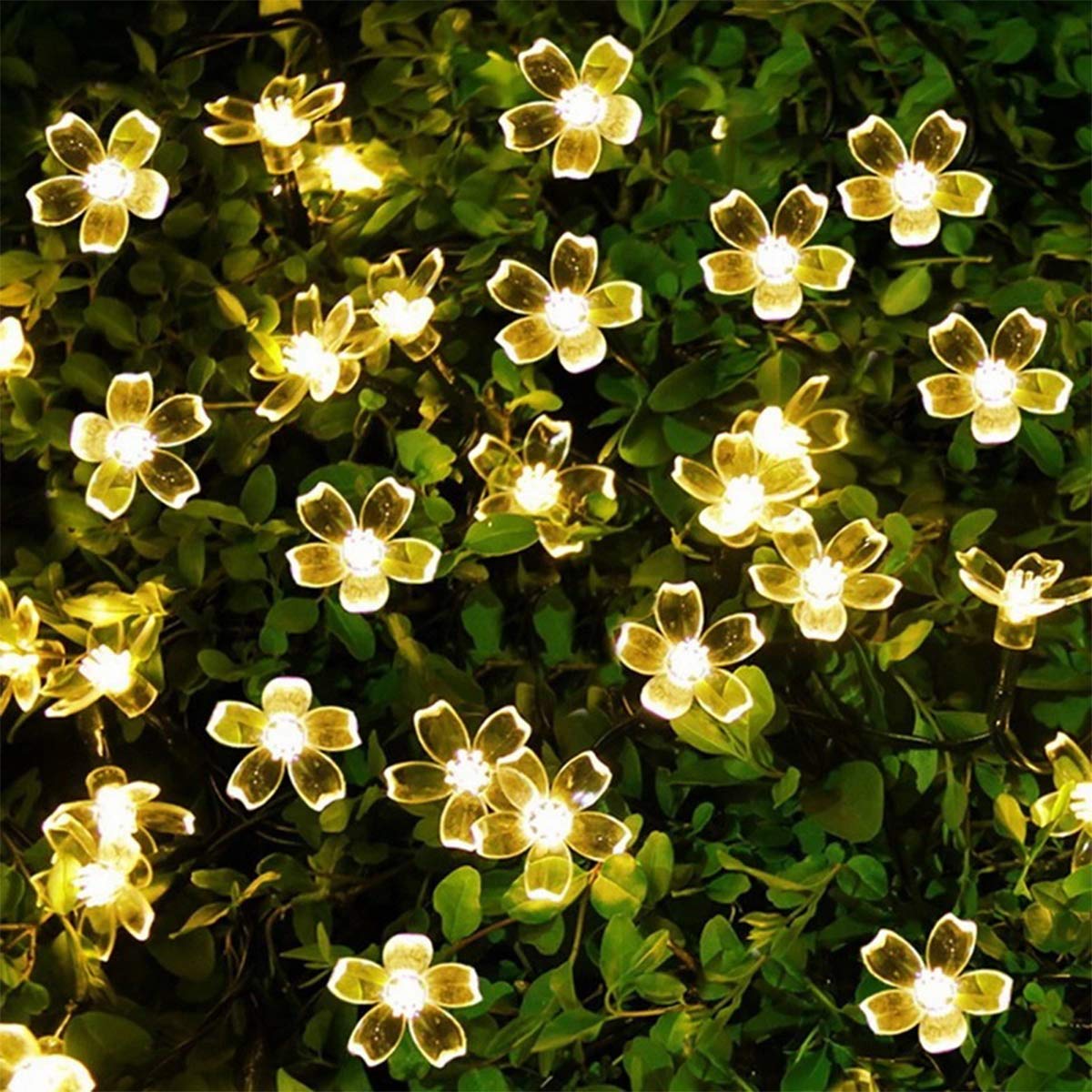 solar garden lights
