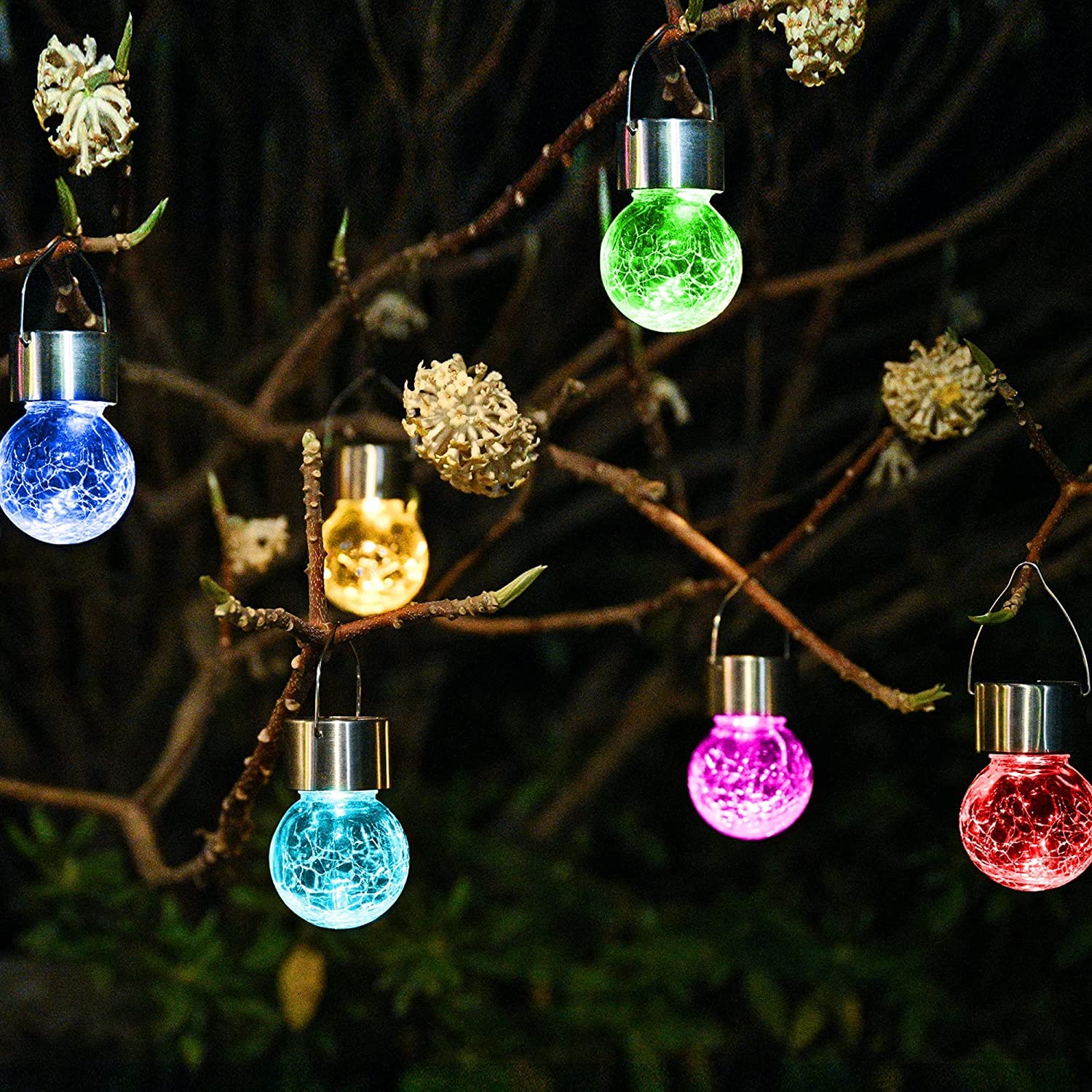 outdoor solar lights