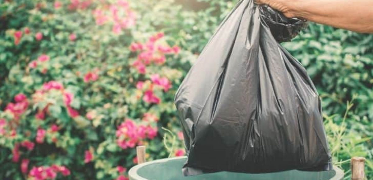 best biodegradable bags