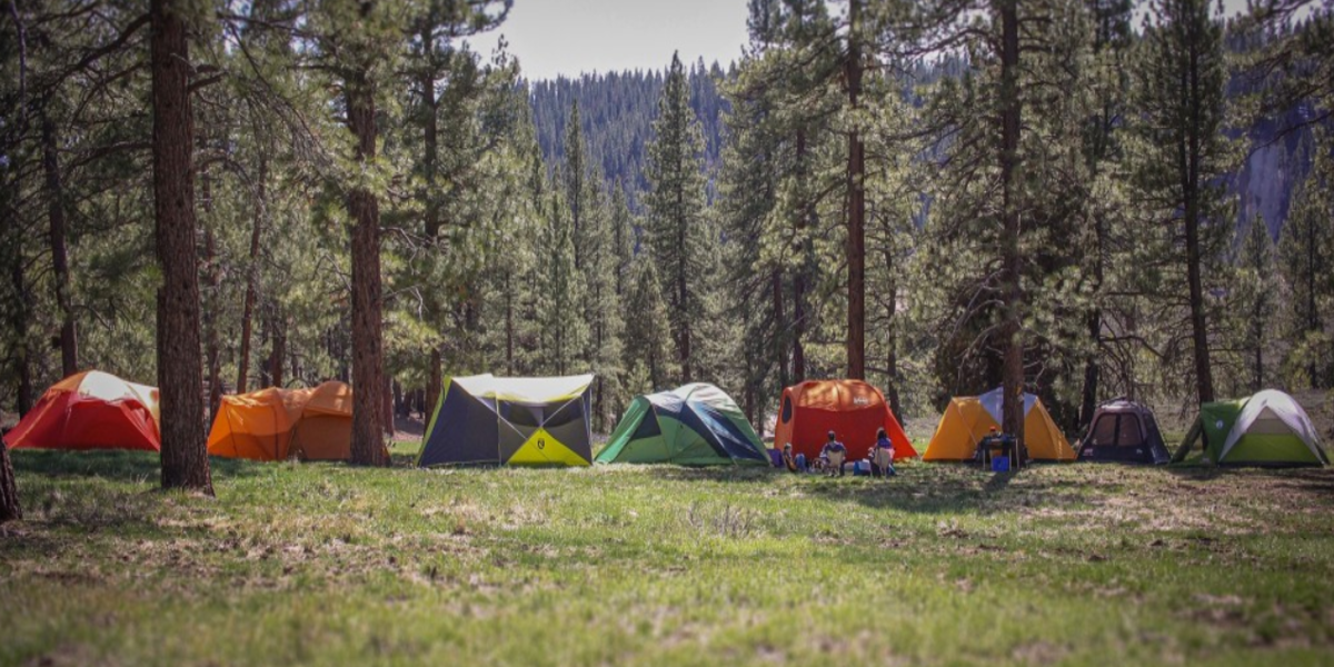 Best Camping Tents Brands In India