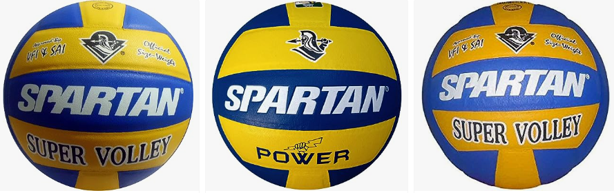Volleyball Brands In India