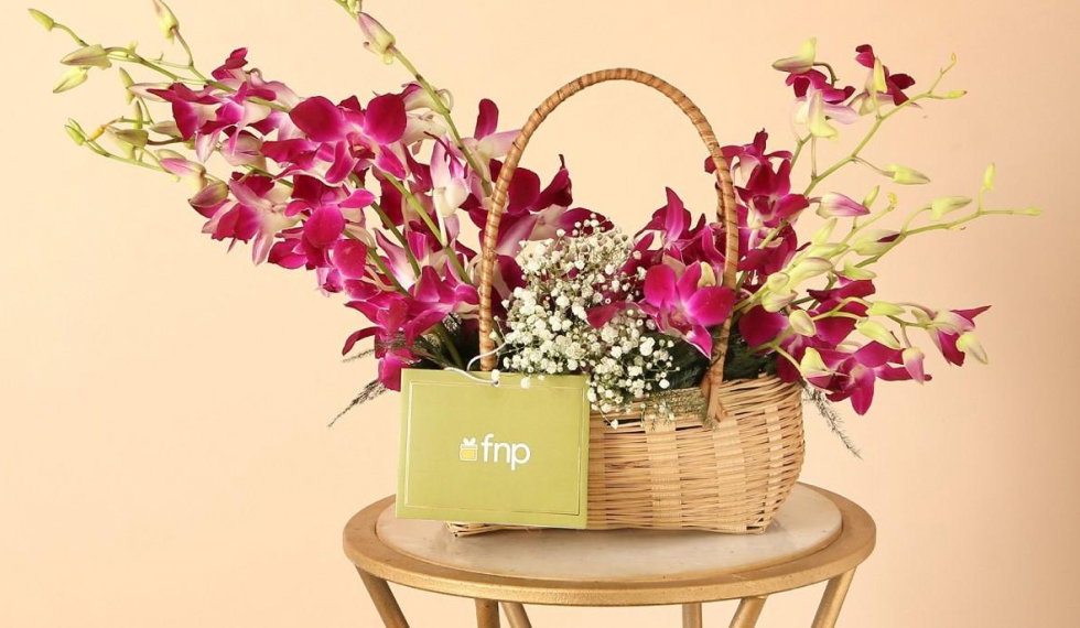 FernsnPetals | RAKSHA BANDHAN OFFERS AND GIFTS