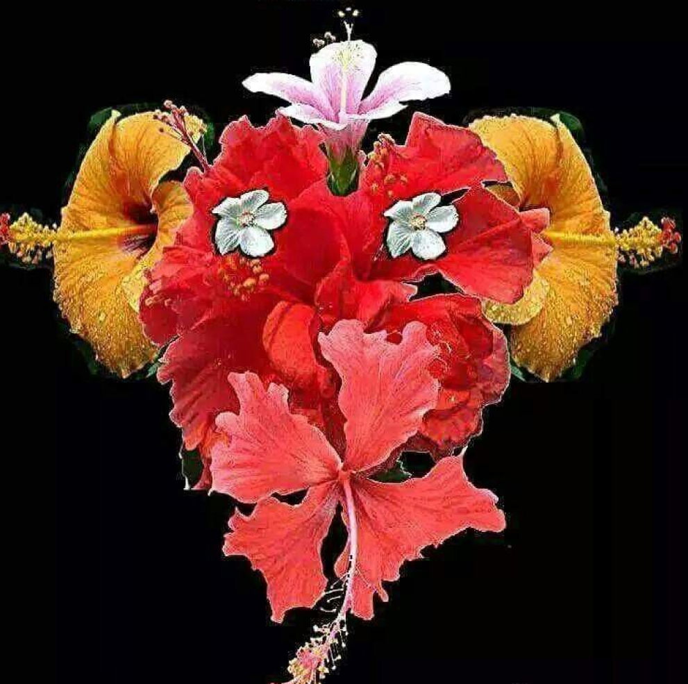 hibiscus ganesha | BEST GANESH CHATURTHI DRAWING